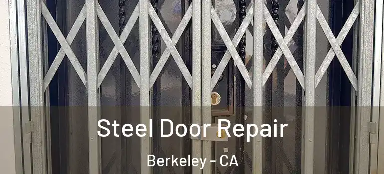  Steel Door Repair Berkeley - CA